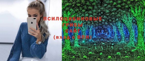 а пвп мука Дмитров