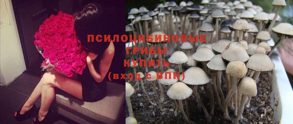 spice Дмитровск