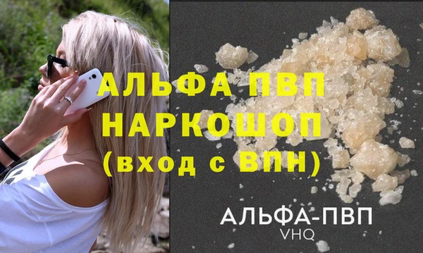 spice Дмитровск