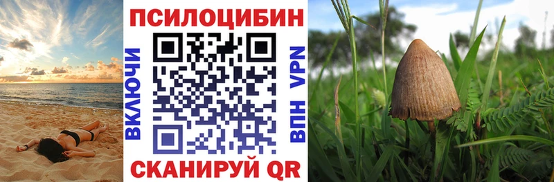 Псилоцибиновые грибы Cubensis  Артём 